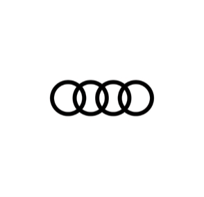audi (1)