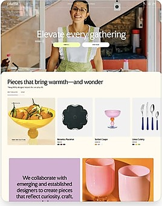 Exemple de modèle de boutique Shopify n° 11